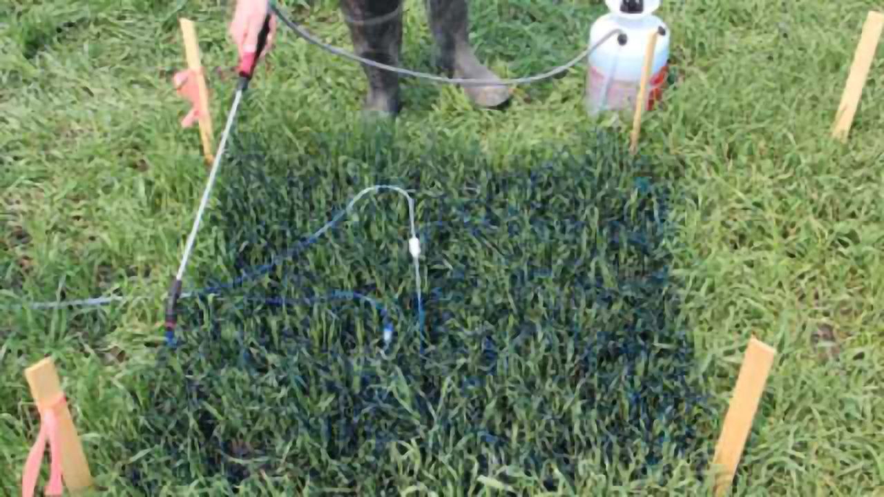 Contamination is Slipping Through the Cracks