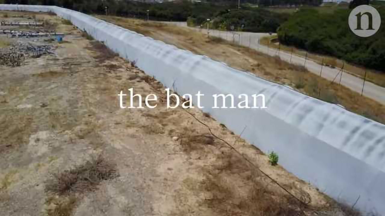 The Bat Man: Neuroscience on the fly