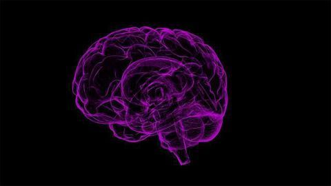 New Diagnostic Blood Test Helps Rule Out Suspected Traumatic Brain Injuries