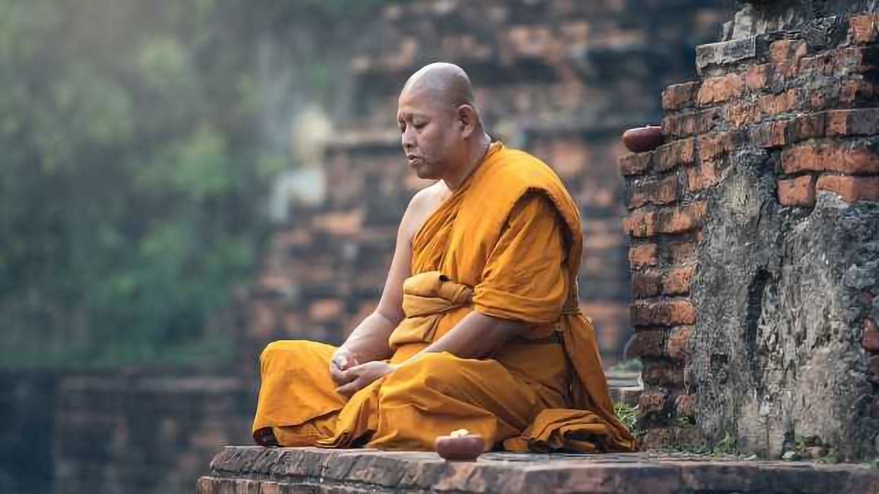 Meditation Affects Brain Networks Differently in Long-Term Meditators and Novices