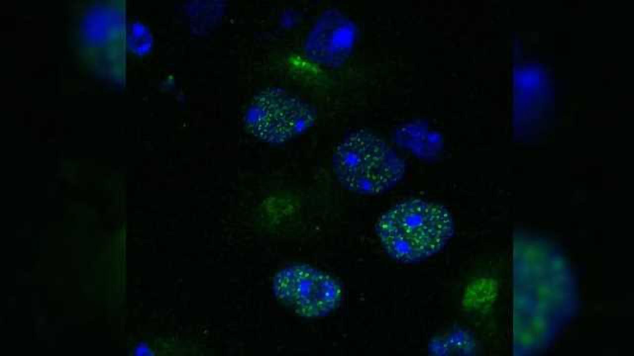 Drug Discovery System Allows Scientists to Target ‘Undruggable’ Enzymes