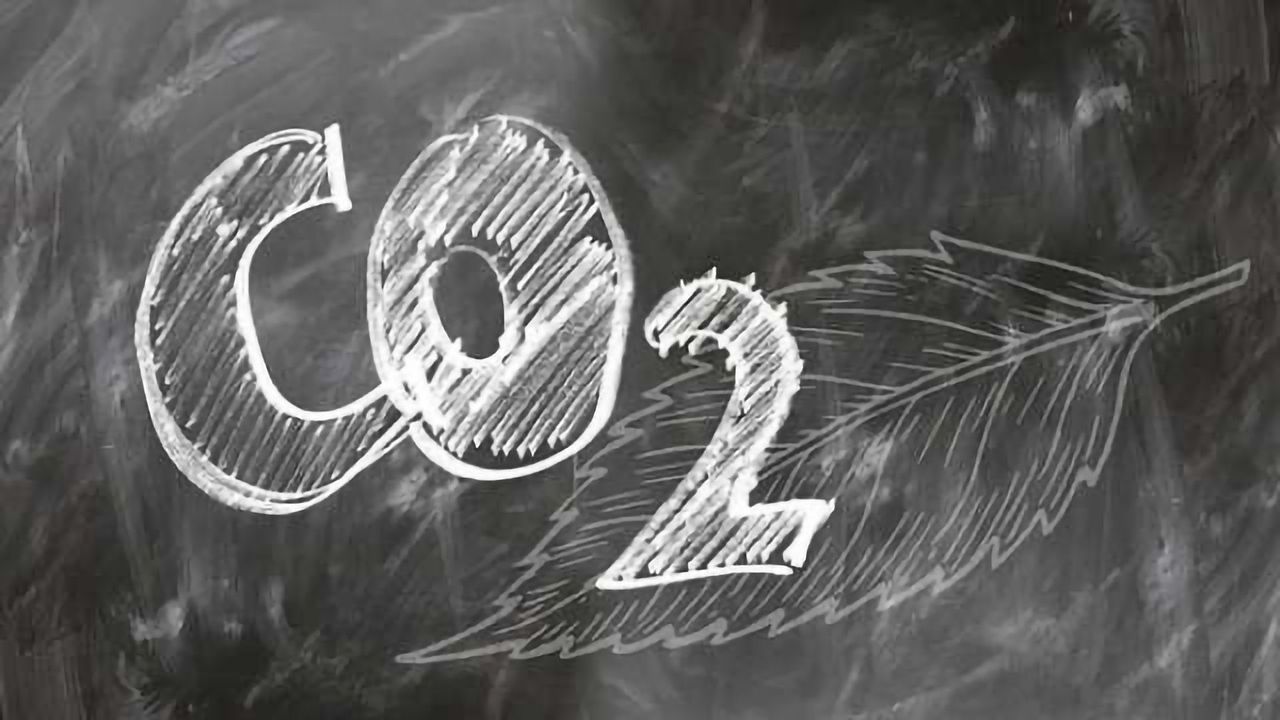 Waste CO<sub>2</sub> as an Industrial Ingredient