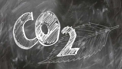 Waste CO<sub>2</sub> as an Industrial Ingredient