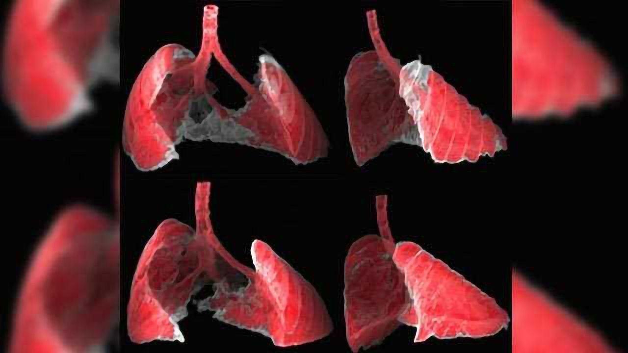 Researchers Design a Nano-Carrier to Release Drugs into Damaged Cells