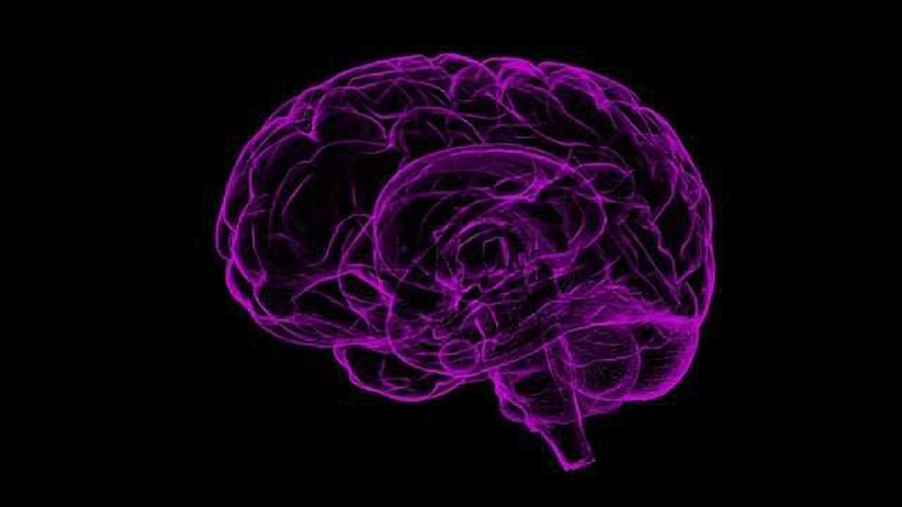 Two Molecules Protect Nerve Cells After Traumatic Brain Injury