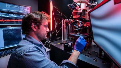 Neuroscience Shared Observatory "Open Scope" Launched