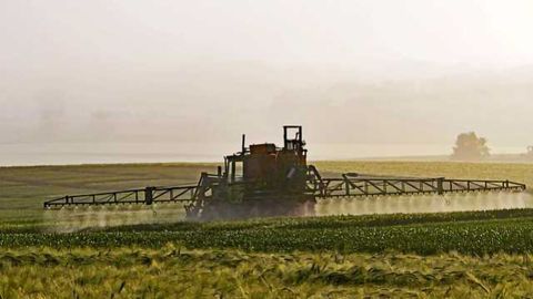 European's Food Largely Free of Pesticides