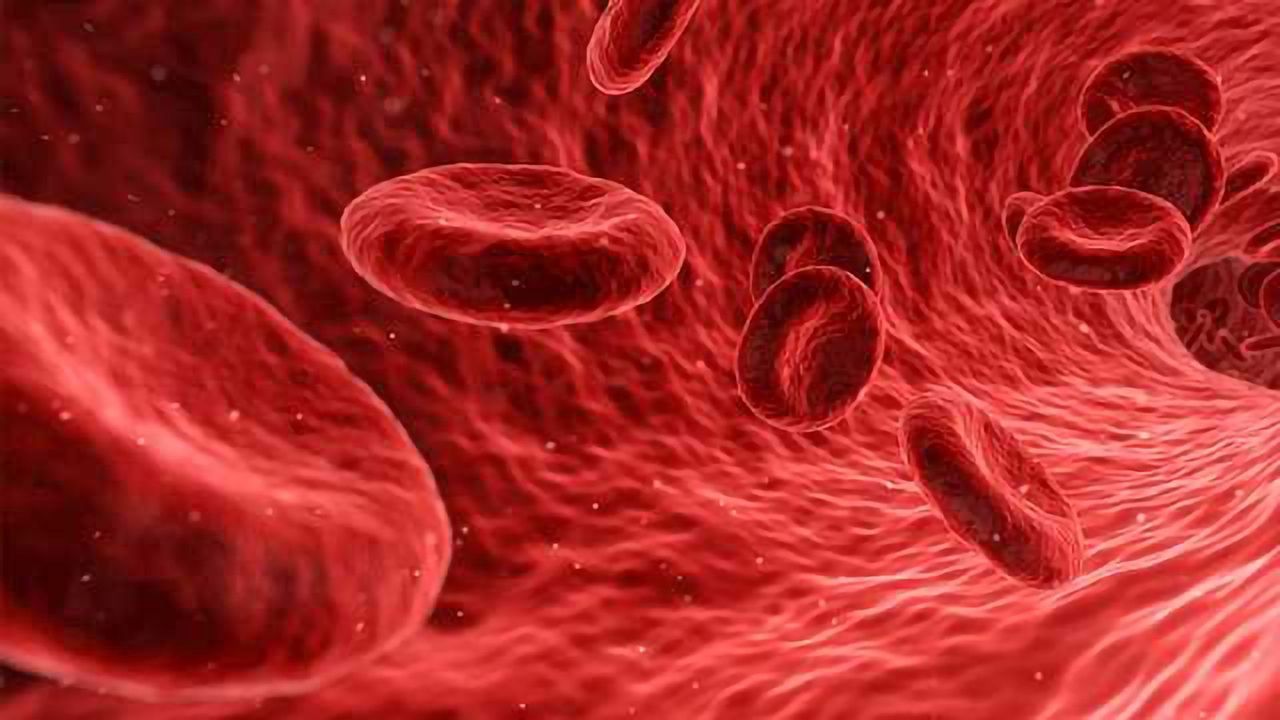 Correcting Tissue Hypoxia with Ozonized Erythrocytes