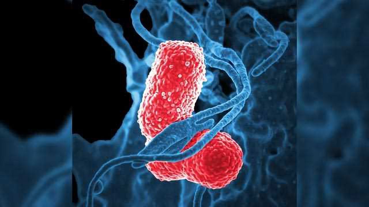 Potential Therapeutic Target: A Triple Threat to Pneumonia