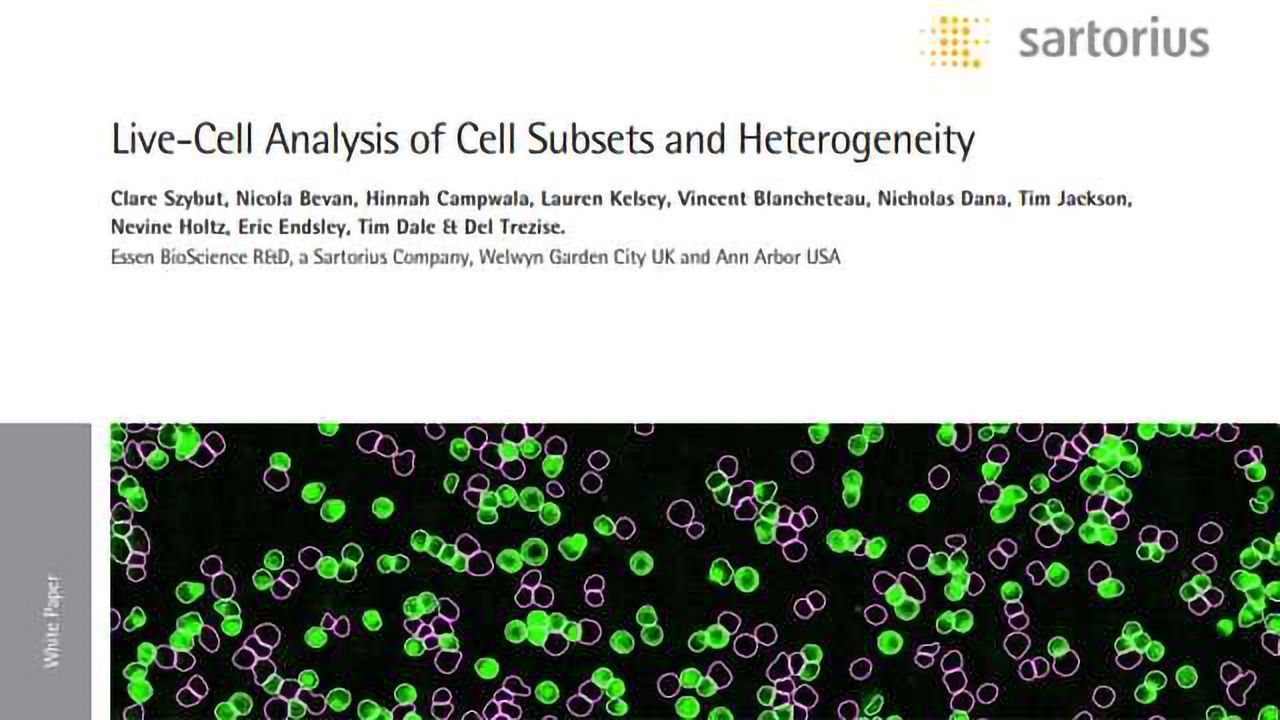 Live-Cell Analysis of Cell Subsets and Heterogeneity