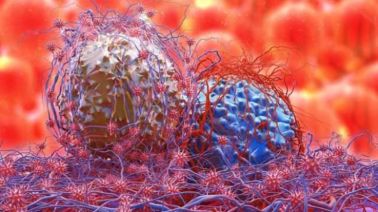 Antipsychotic Drugs Could Be Effective at Killing Drug-Resistant Cancer Cells