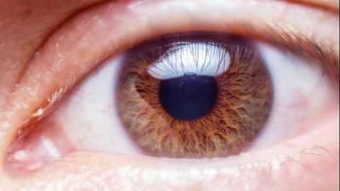 AI Predicts Personality by Tracking Eye Movements