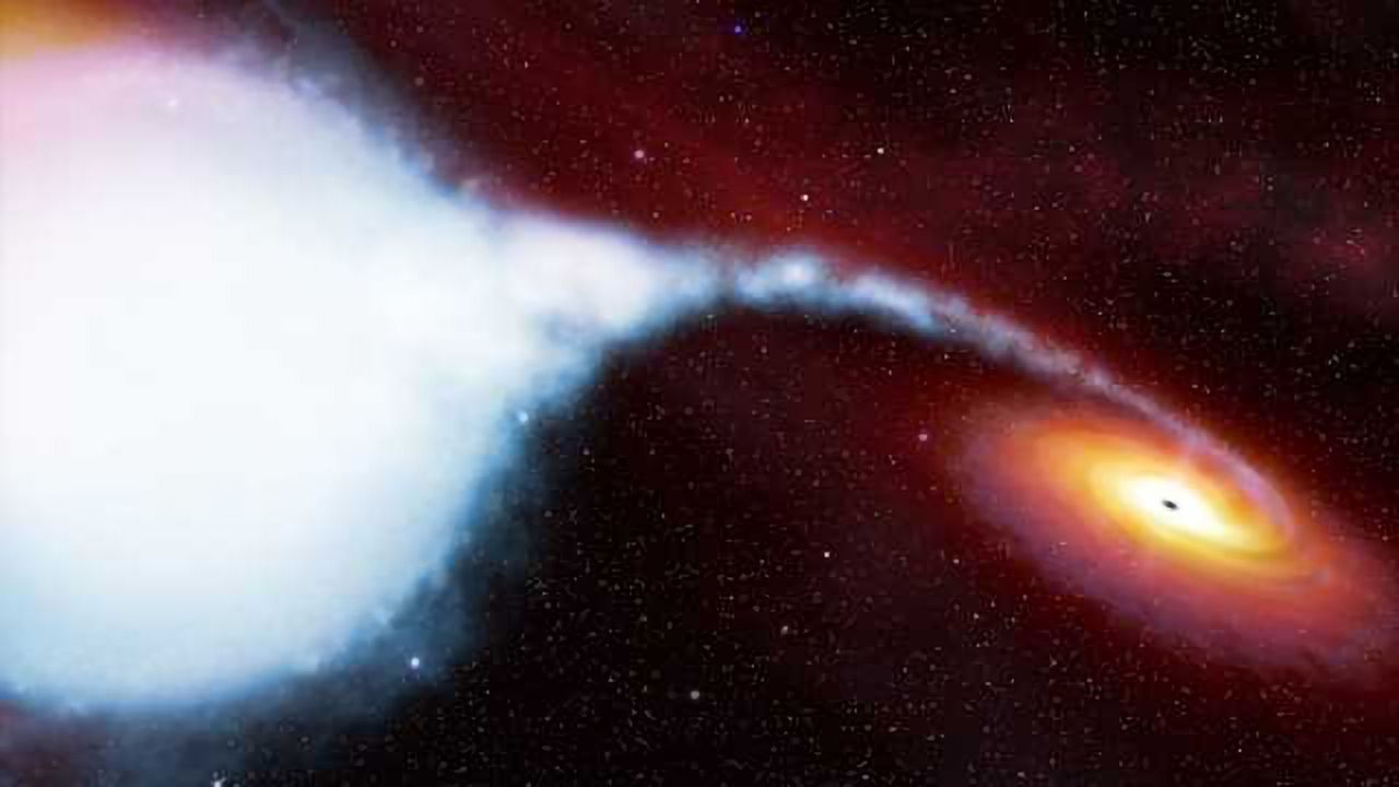 Looking into Black Holes with X-Rays