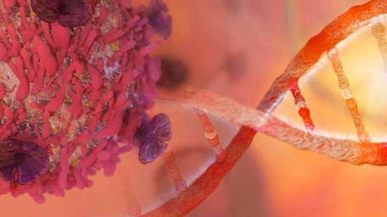 Treating Ovarian Cancers by Targeting Mutations