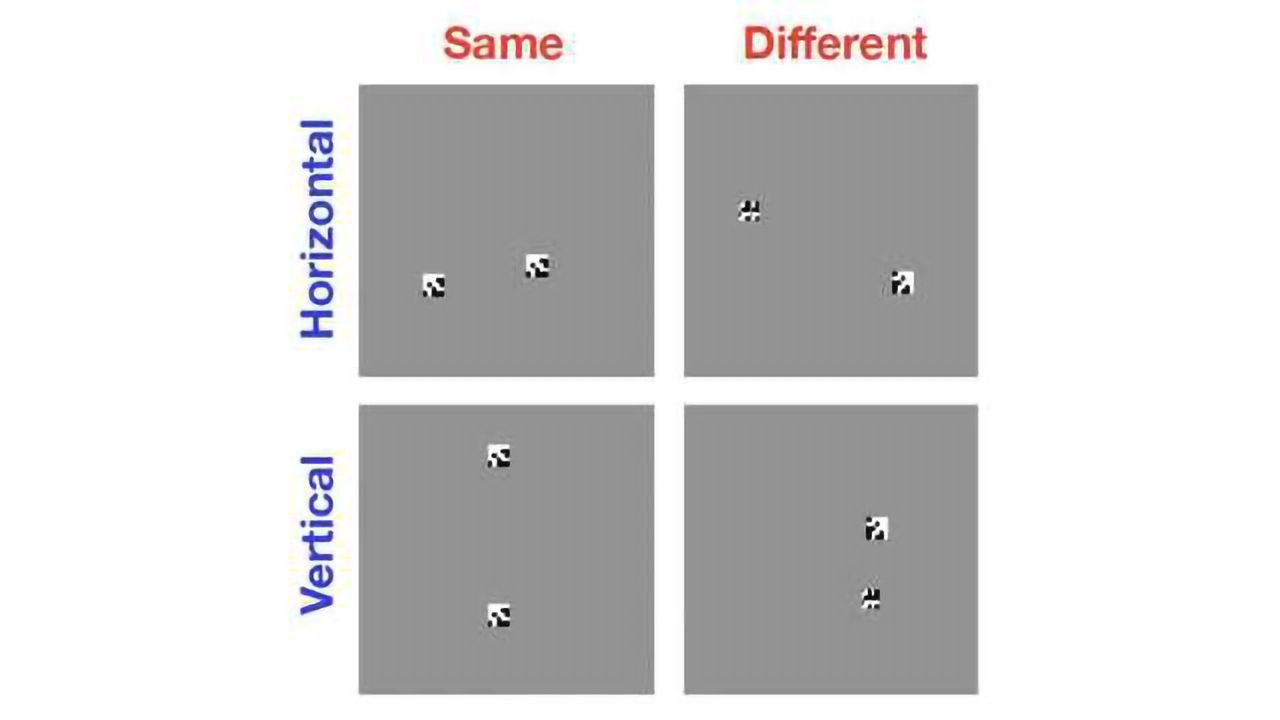 Why Are Computers Easily Beaten by Toddlers in Odd One Out Tasks?
