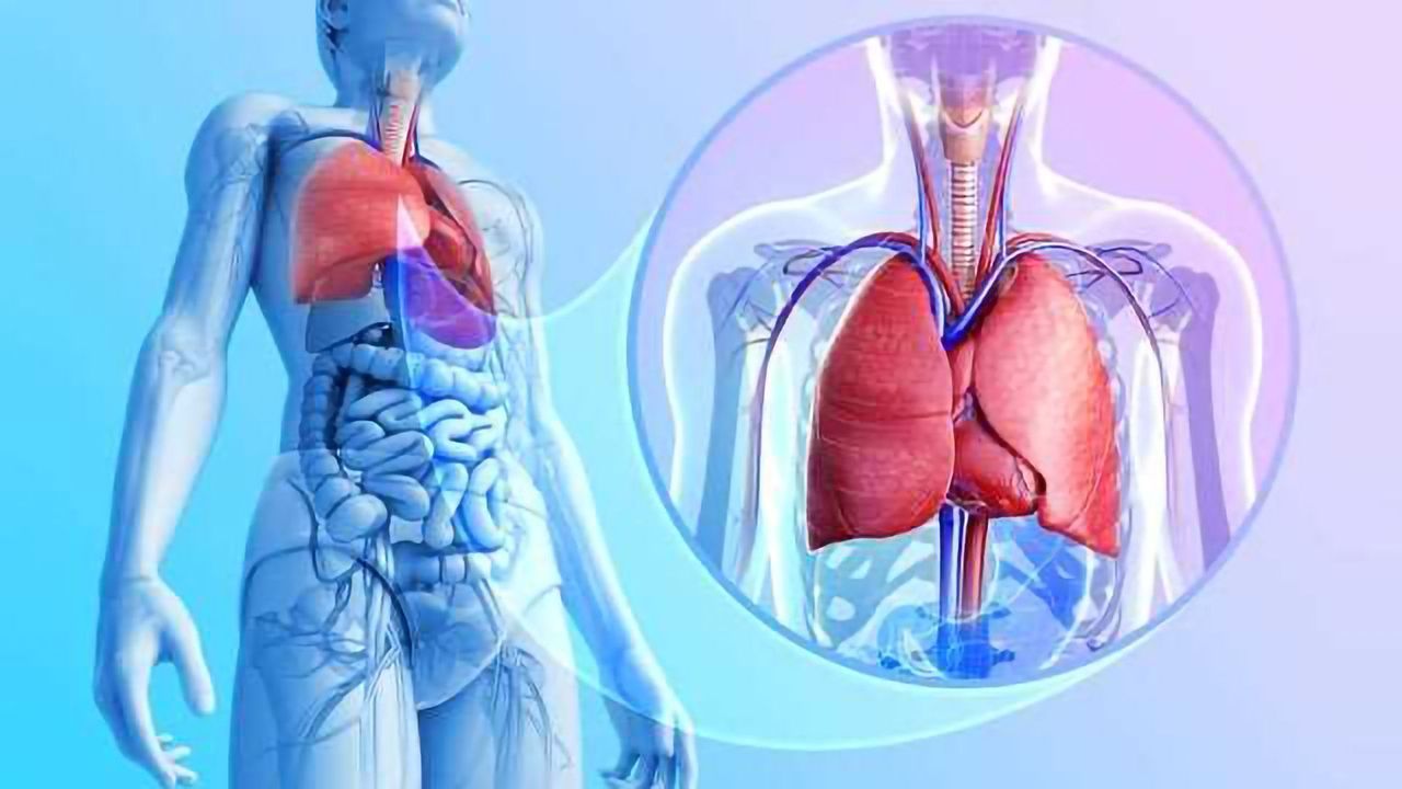 In Vitro Systems and Inhalation Toxicology