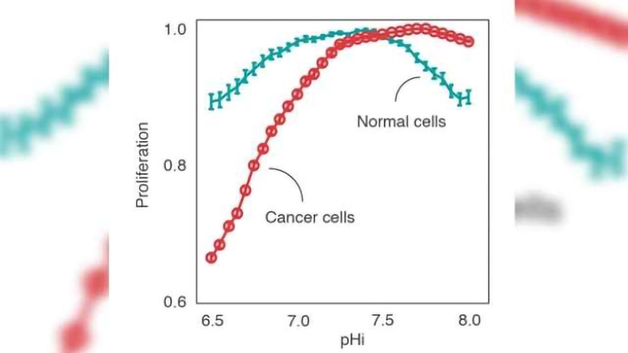 Acidic pH: A Cancer Cell’s Weakness
