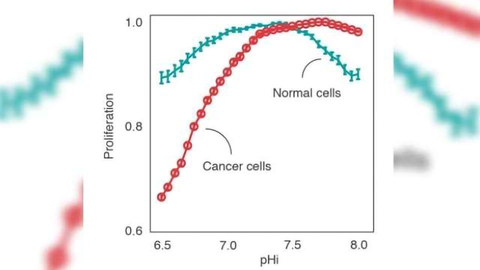 酸性pH值:一个癌细胞的弱点内容块的形象