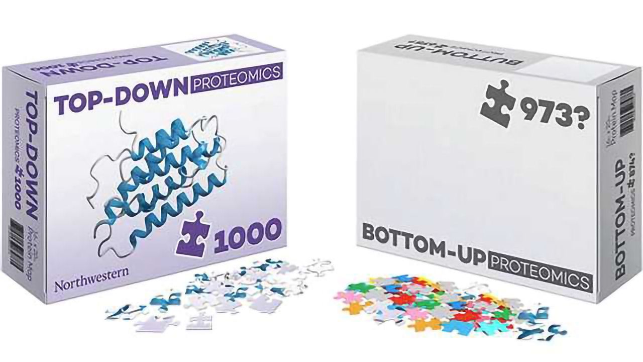 Mapping the Protein Puzzle to Improve Cancer Detection