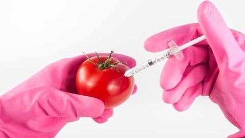 GM Crop Ruling Shows Why the EU’s Laws Are Wholly Inadequate