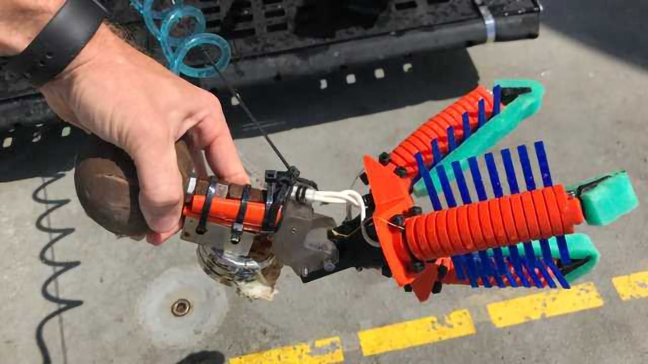 Underwater Robot "Fingers" Get a Grasp on Deep-Sea Life