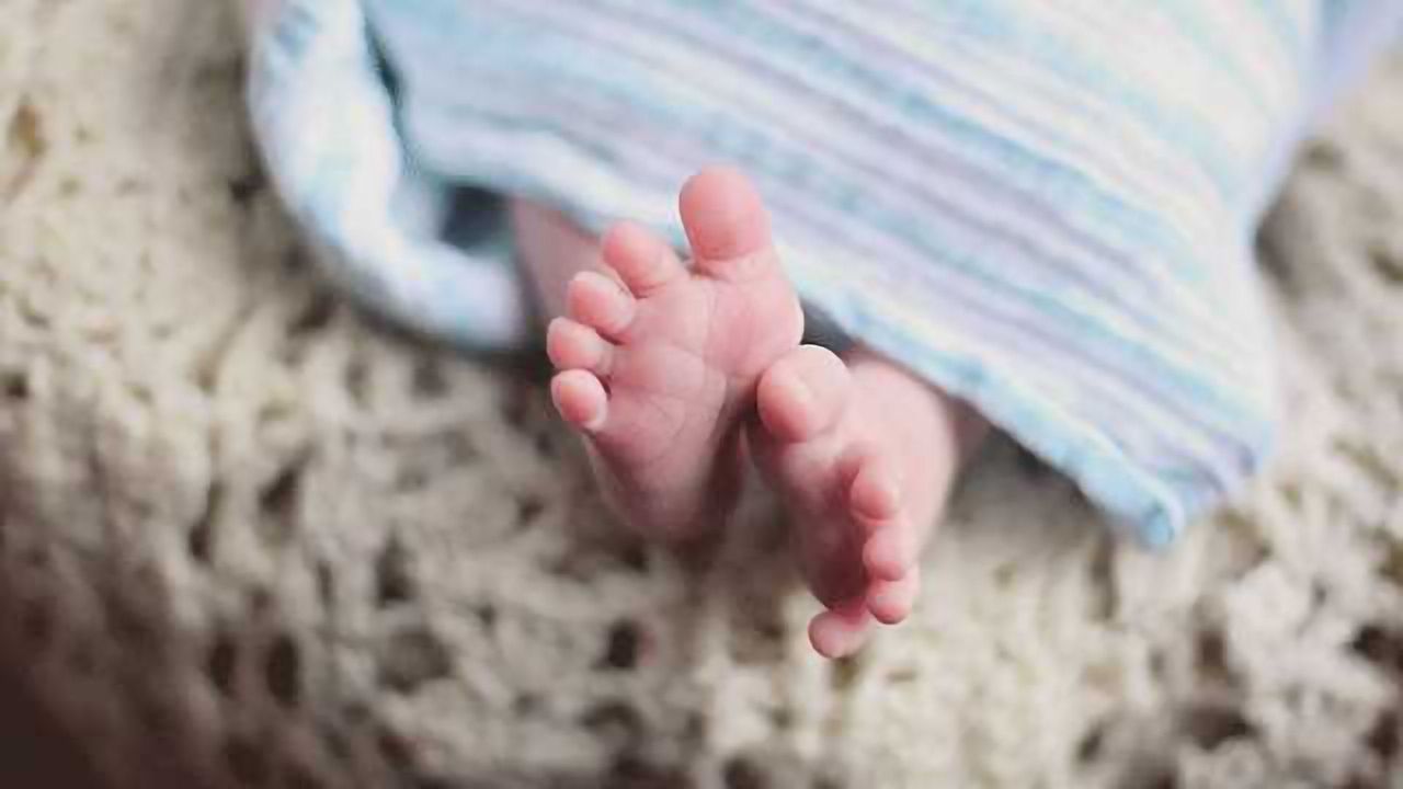 Placenta Barrier-on-a-Chip to Help Understand Triggers of Premature Birth