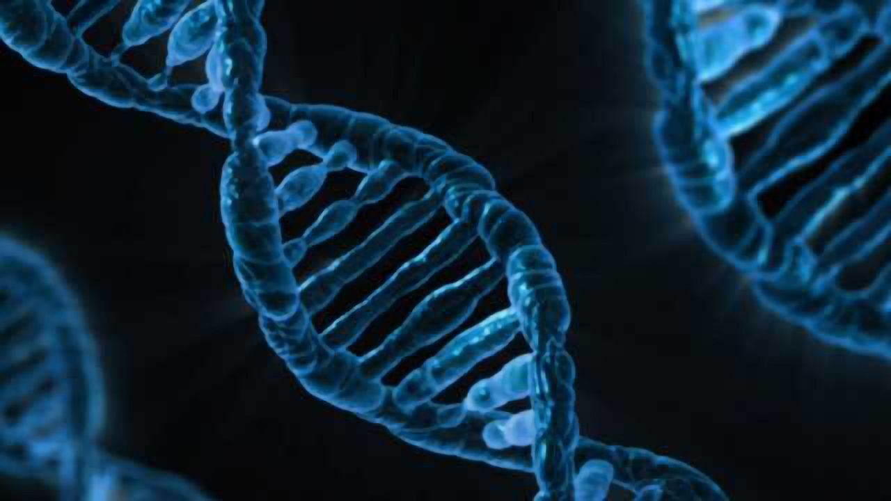 Medical Potential for Sequencing Fetal DNA in Mother's Bloodstream