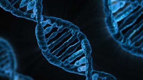 Medical Potential for Sequencing Fetal DNA in Mother's Bloodstream