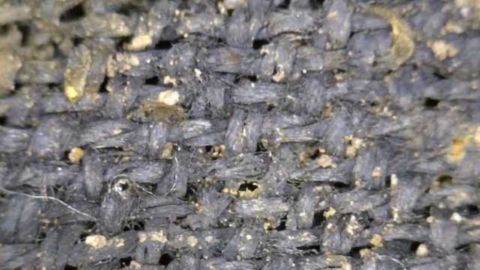 Did Early Britons Spin a Yarn?