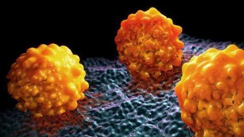 Zzzzz... Putting Cancer Cells to Sleep