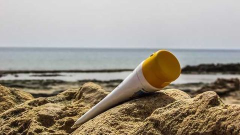 Sunscreen Chemicals in Water may Harm Fish Embryos