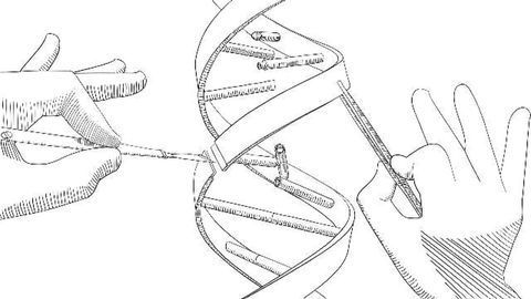 Genome Editing and Human Reproduction: Behind the Headlines of the Nuffield Council on Bioethics Report