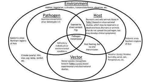 More Focus Needed On Disease Vectors Technology Networks