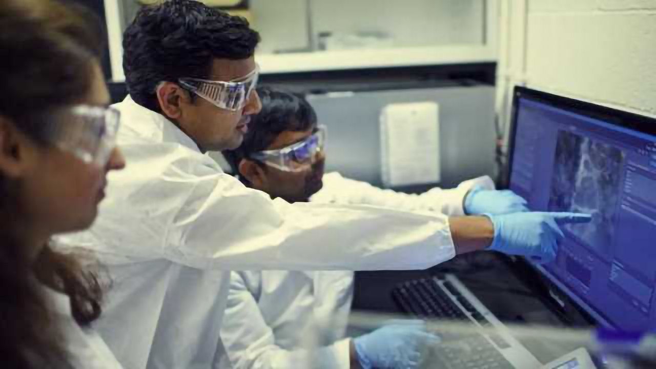 Grant Fuels Research into Cell Group Behavior in Cancer