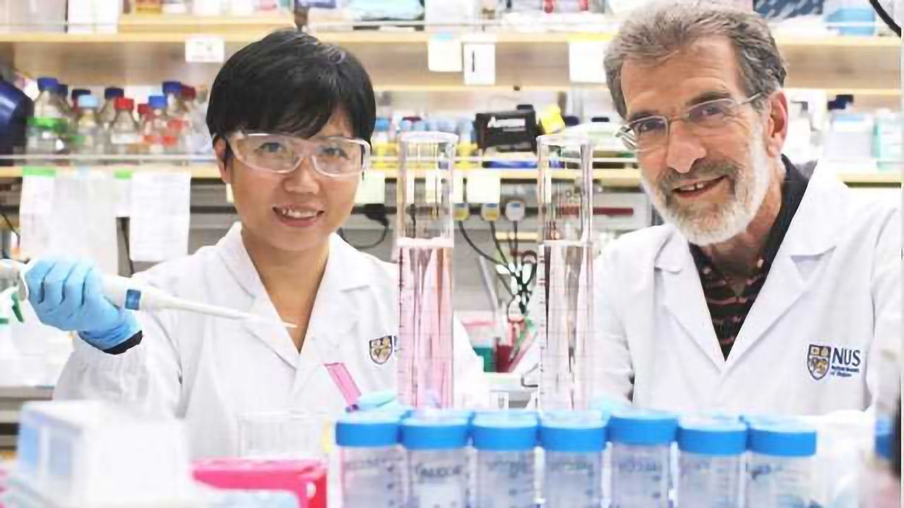 Novel Drug Could Potentially Treat Liver Cancer More Effectively