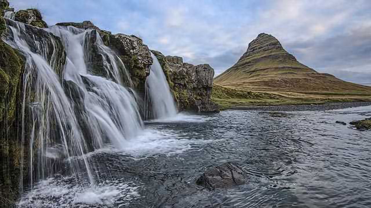 Is the Future of Medicine Lurking in Iceland's Icy Waters?