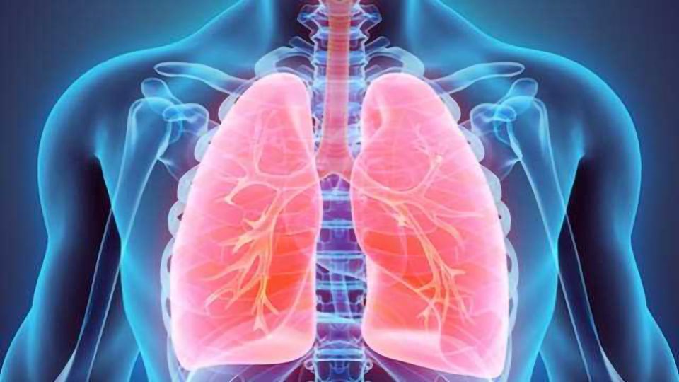 Tackling Antibiotic-resistance: Nitric Oxide-based Treatments for Respiratory Diseases content piece image