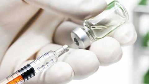 Quiet Viruses Alter Body's Response to Vaccines