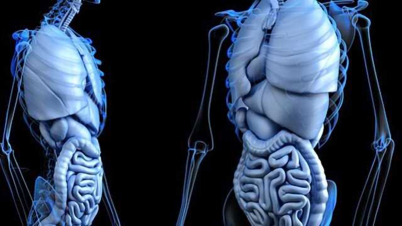 Blocking Digestive Hormone May Help Prevent Spread of Pancreatic Tumors