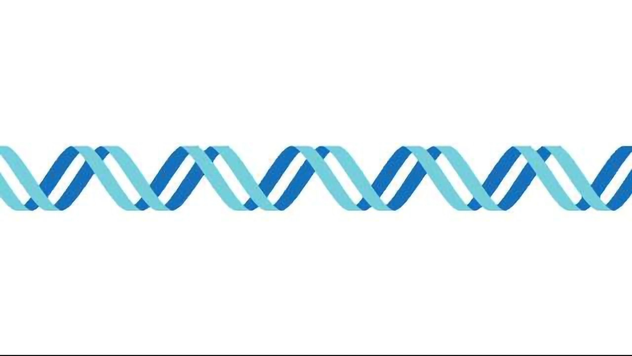 Genetics and Environment Share Influence Over Epigenetics