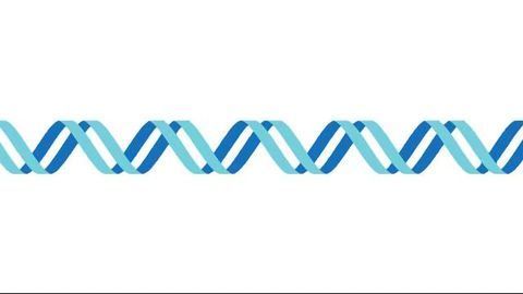 Genetics and Environment Share Influence Over Epigenetics