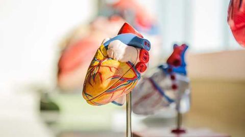 Air Pollution Linked to Heart Remodelling