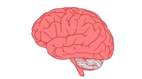 Study Challenges Theory of How Humans Acquired Language
