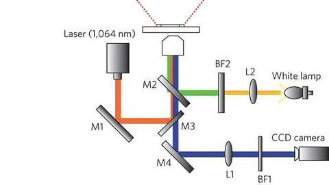 Nanotweezers that can Trap and Detect Biomolecules
