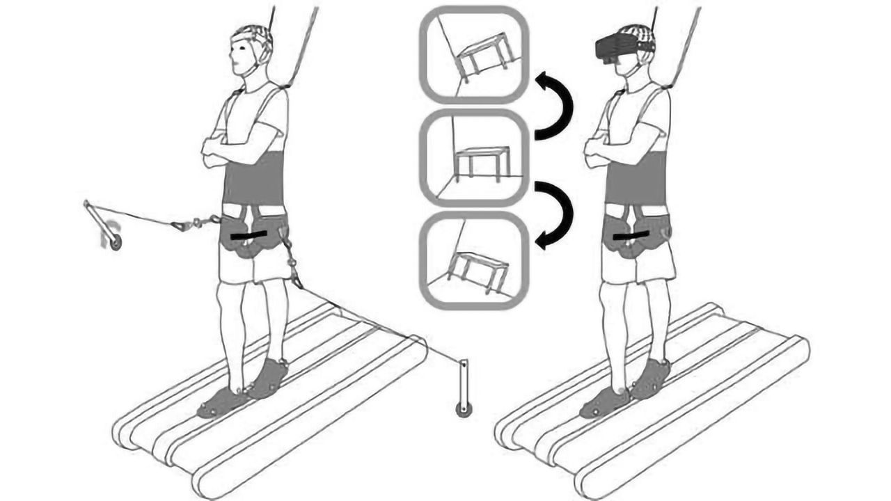 Neural Signature of Balance