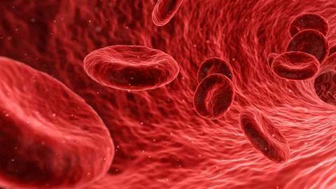 Key Aspects of Human Cell Ageing Reversed by New Compounds
