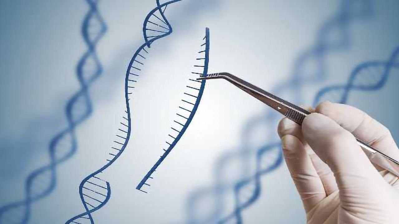 Modified CRISPR-Cas9 Corrects Sickle-Cell Mutation