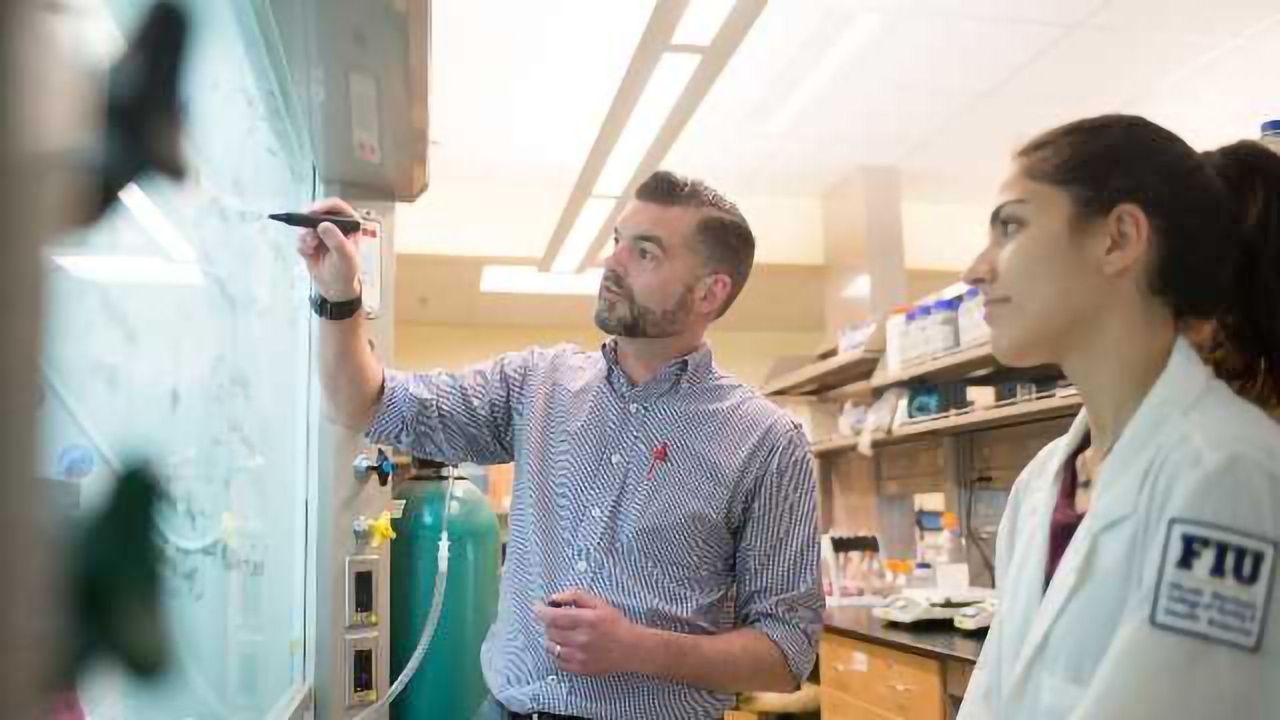 An Adductomic Approach to Analyzing DNA Damage