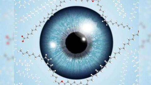 Eye Can See Clearly Now: Structure of Lipid That Keeps Our Tears Clear Discovered