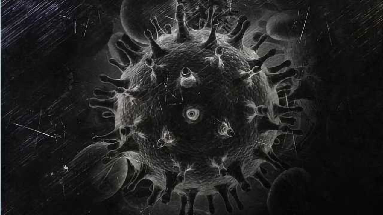 New Drug Targets in the Fight Against HIV